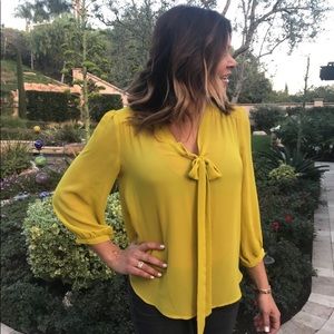 Chartreuse Blouse